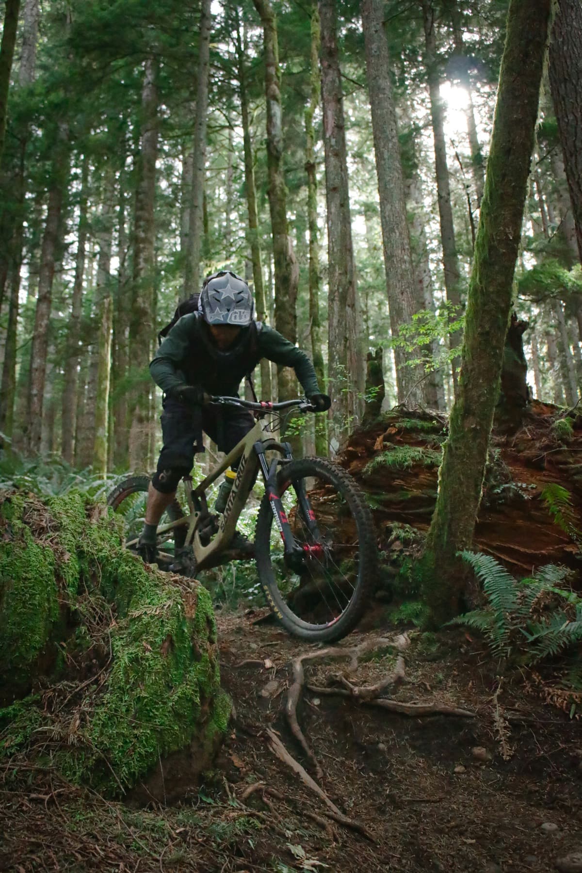 A rider threading a narrow forest trail between mossy trunks and exposed roots.